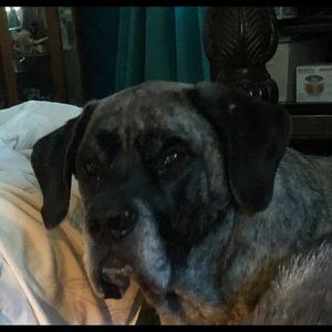 Meet your Posher, Teresa